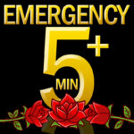 Psychic Tarot Reading: Emergency 5 - 10 Minutes, 1 question, 24-hour turn-around